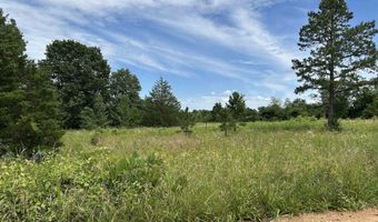 676 County Road 403, Alton, MO 65606