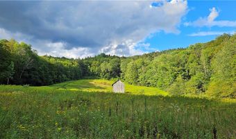 Shaver Hollow, Andes, NY 13731
