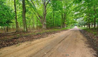 Erdman Road, Arcadia, MI 49660