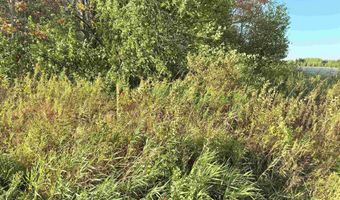 COUNTY ROAD Z lot 4, Aniwa, WI 54408