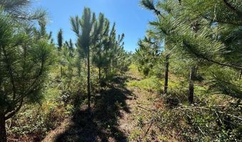 Lot 2 50th Ave, Bell, FL 32619