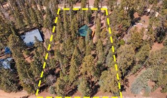 6 County Rd 2042, Alpine, AZ 85920