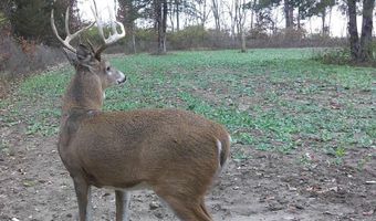 Tbd 194th Avenue, Argyle, IA 52619