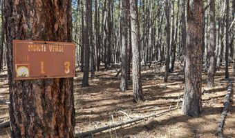 Knollwood Way lot 3, Angel Fire, NM 87710