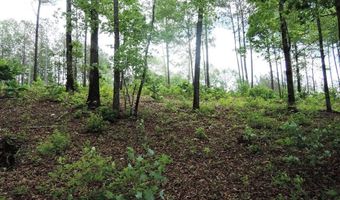 Lot 50 Shoreside Road, Double Springs, AL 35553