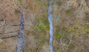 1144 Little Big Mound Rd, Bentonia, MS 39040