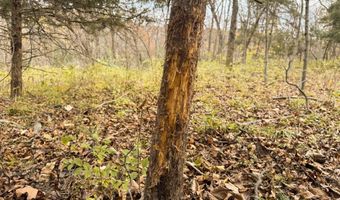 170 Th St, Albia, IA 52531