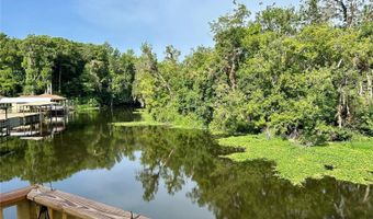 23733 BASIN Dr, Astor, FL 32102