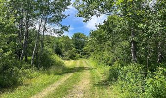 0 Woodland Hills Rd, Andes, NY 13731
