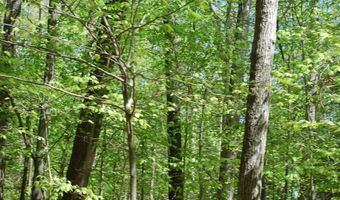 Parcel 45 BRYAN POINT Road, Accokeek, MD 20607