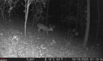 SEC33-TO2N-R21E KTrail, Albion, OK 74521
