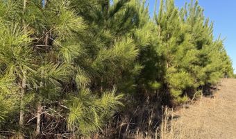 Delancey Road, Braxton, MS 39044