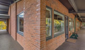 731 S Mill St 3A, Aspen, CO 81611