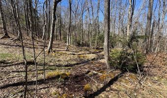ES71 Twisted Oak Path, Banner Elk, NC 28604
