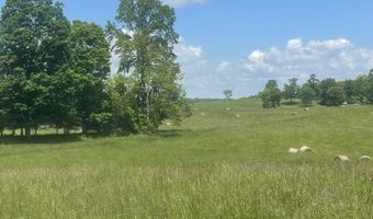 Tract # 13 Hunter Ray Way, Albany, KY 42602