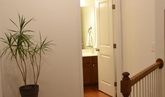 882 Queen City Cres, Apex, NC 27523