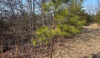 E 1931 RD, Antlers, OK 74523