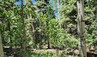 1506 Clarke Mountain Ln, Antonito, CO 81120