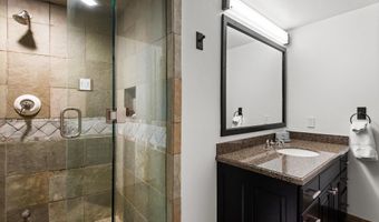 289 Exhibition Ln, Aspen, CO 81611