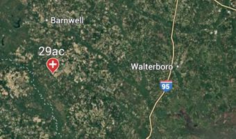 10664 Burton's Ferry Rd, Allendale, SC 29810