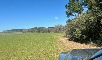 0 Tervin Mill Rd, Andalusia, AL 36421