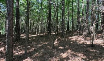 0 Highway 140 Tract D NW, Adairsville, GA 30103