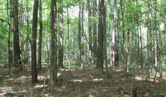 00 Pinola Braxton Rd, Braxton, MS 39044