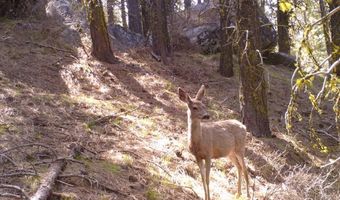 L16 B1 Lantern Way lot 16, Cascade, ID 83611