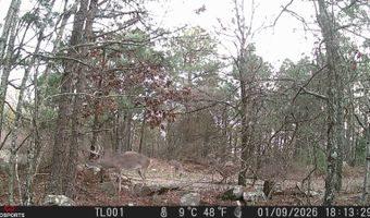 SEC33-TO2N-R21E KTrail, Albion, OK 74521