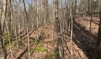 lot 92 CORBIN MOUNTAIN Road 92, Zirconia, NC 28790