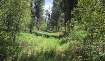 4585 E 1400 N, Ashton, ID 83420
