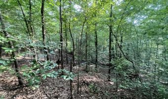 0 ANDREW JACKSON Rd 19, Alexander City, AL 35010
