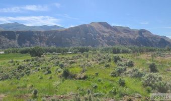 6 Homestead Trl, Challis, ID 83226