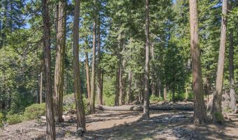 403 Sierra Pkwy, Camp Connell, CA 95223
