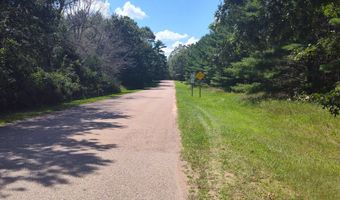Lot 113 Beaver Lane, Arkdale, WI 54613