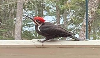 21291 Firefly Trl, Akeley, MN 56433