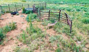 17616 N Private Road 2220, Abernathy, TX 79311