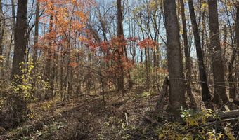 Parcel E RICHMOND HWY, Amherst, VA 24521