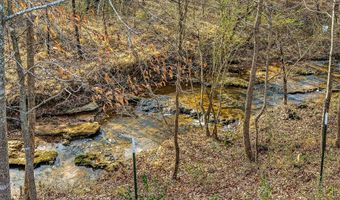 1603 Coon Hunt Rd, Baxter, TN 38544