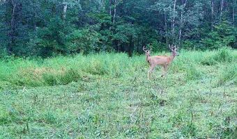 0000 280th Pl, Aitkin, MN 56431