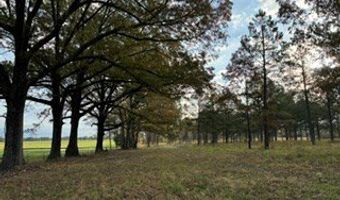 447 CR 215, Abbeville, MS 38601