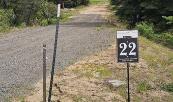 23 Sawtooth Loop, Cascade, ID 83611