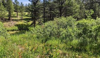 Spiritwood Ln, Bellvue, CO 80512