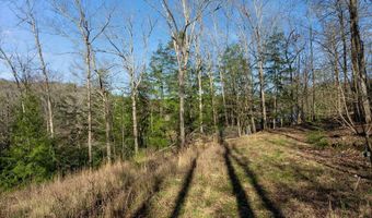 597 COUNTY ROAD 4028, Arley, AL 35541