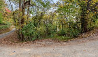 Engle Drive, Andersonville, TN 37705