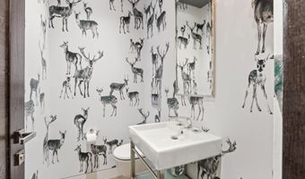 101 E Hallam St, Aspen, CO 81611