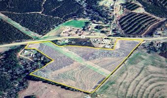 20 Ac State Hwy 95 Columbia Rd, Abbeville, AL 36310