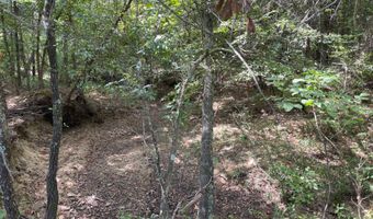 Tract 52 E 1885 Road, Antlers, OK 74523