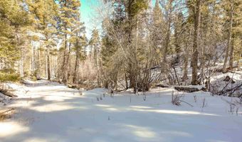 45 Sacramento Dr, Angel Fire, NM 87710
