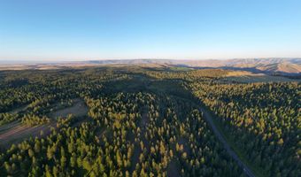 120 Acres Anatone, Anatone, WA 99401